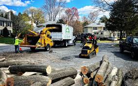 Best Tree and Shrub Care  in Nowthen, MN